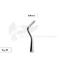 Red Eagle Gaming Free Logo (23)-Picsart-AiImageEnhancer.webp