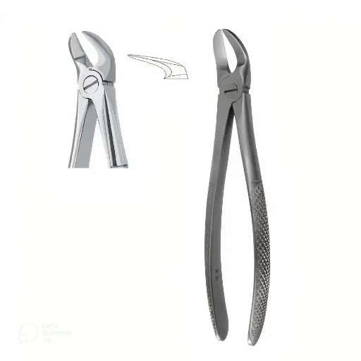 Extraction Forcep Fig. 56 separating lower molar root