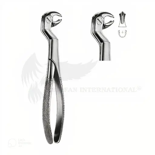 Extraction Forcep Fig 22 ½ Right Lower Wisdom and Molars