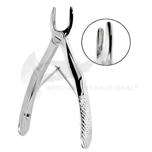 Children Forcep Fig 137 Upper incisors and canines