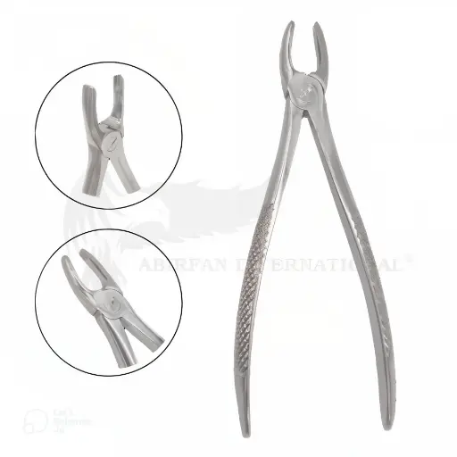 Extraction Forcep Fig#3 Upper Incisors and Canines