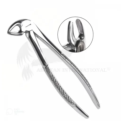Extraction Forcep Fig. 13 Lower Primolar